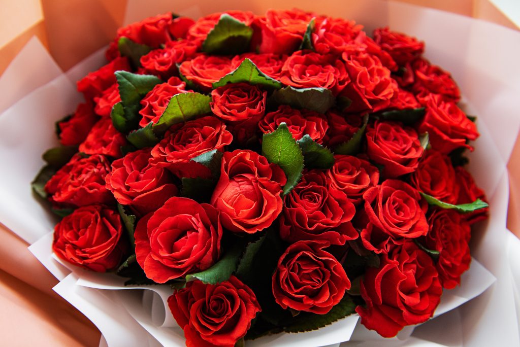 rosas